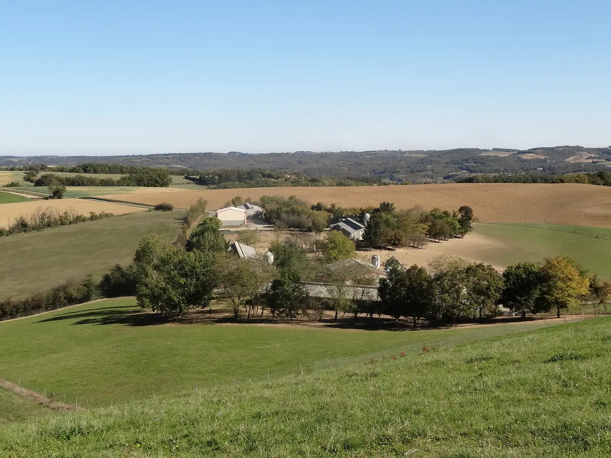 Une exploitation entourée de prairies et de parcelles cultivées, dans le Gers