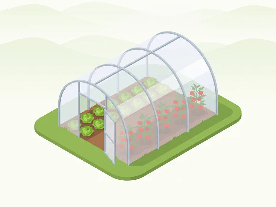 Illustration : Tunnel plastique (chapelle simple)